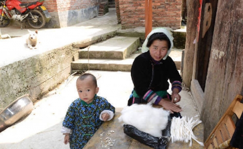 Loài[-]"hoa[-]hoán[-]đổi"[-]bí[-]ẩn[-]giúp[-]mỗi[-]gia[-]đình[-]có[-]1[-]trai,1[-]gái